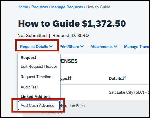 screenshot of request details, selecting the add cash advance button from drop-down