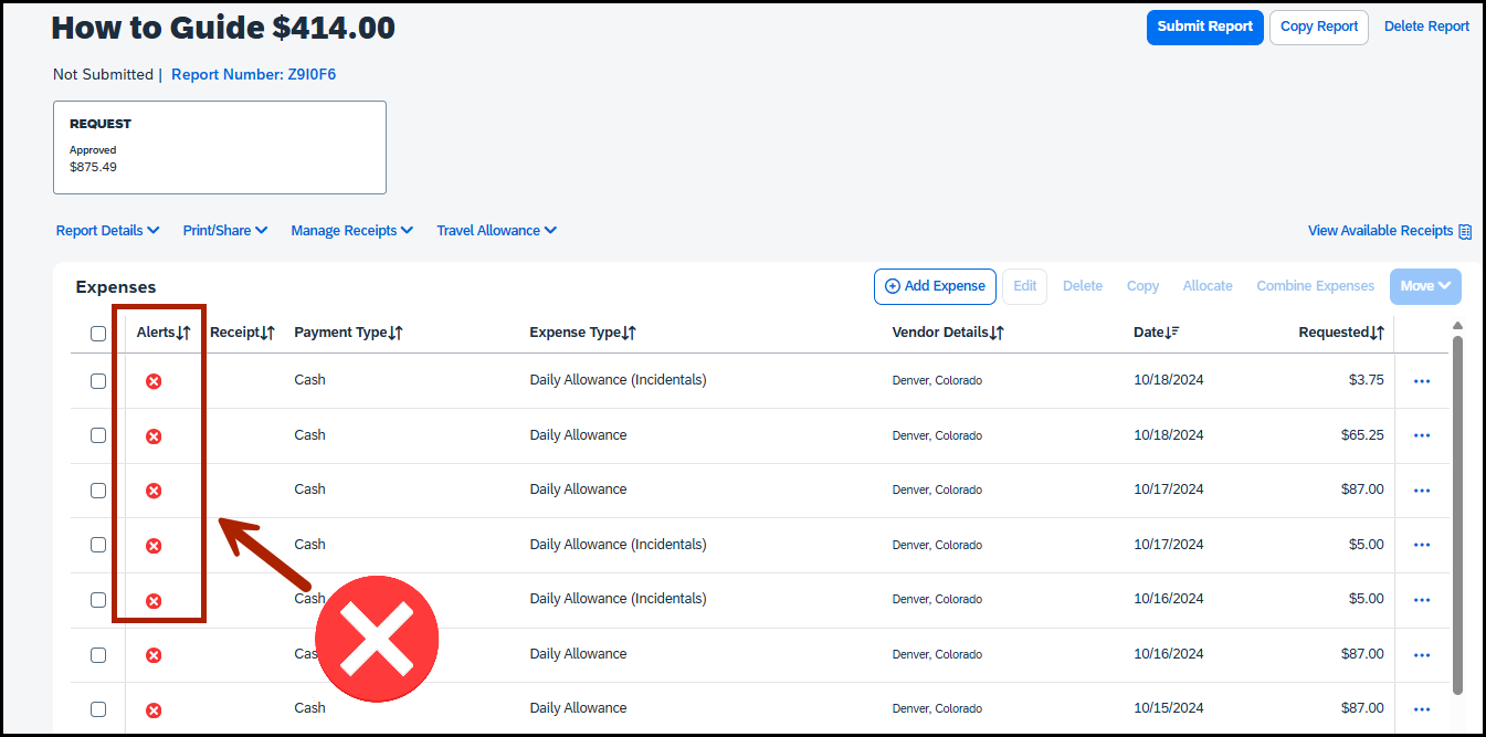 screenshot of allowances and alerts showing