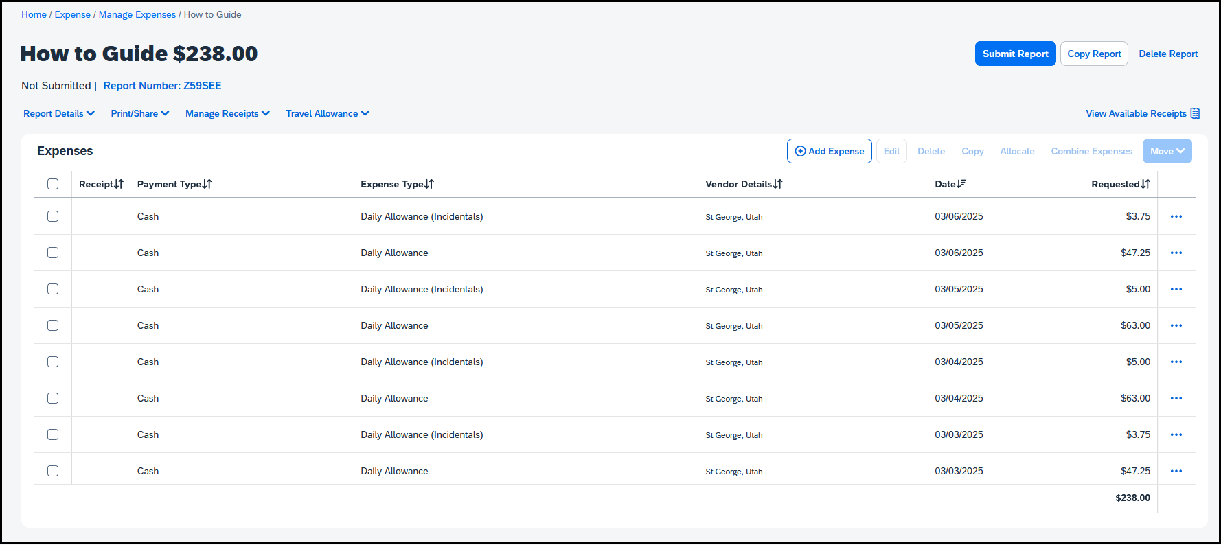 screenshot of the allowances without alerts