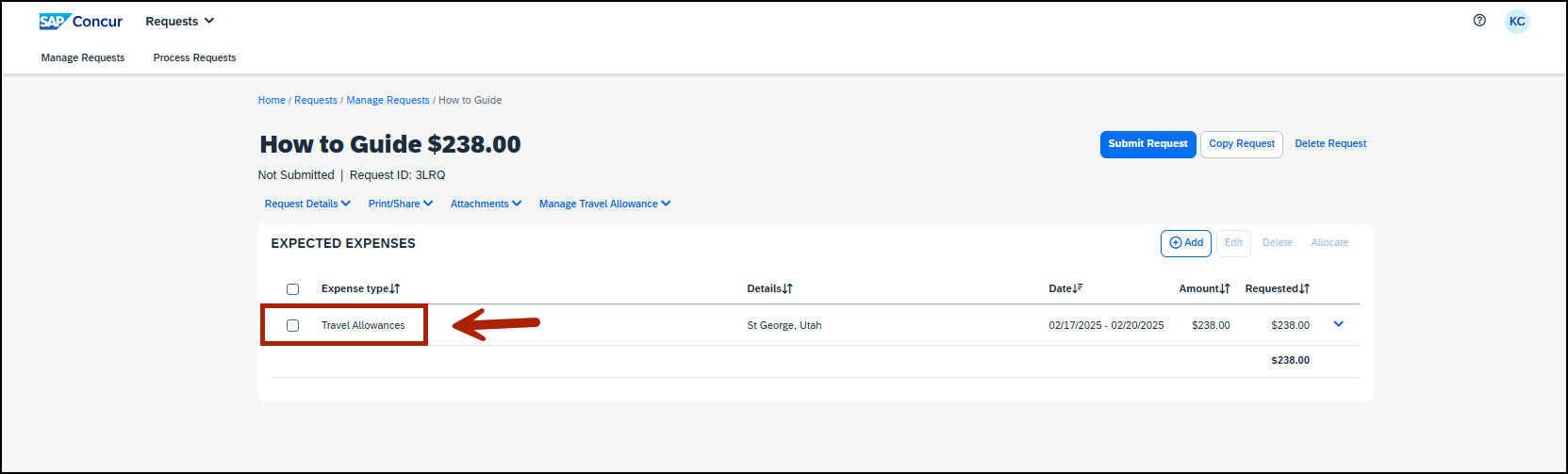 screenshot of expense screen with red arrow pointing out travel allowance line